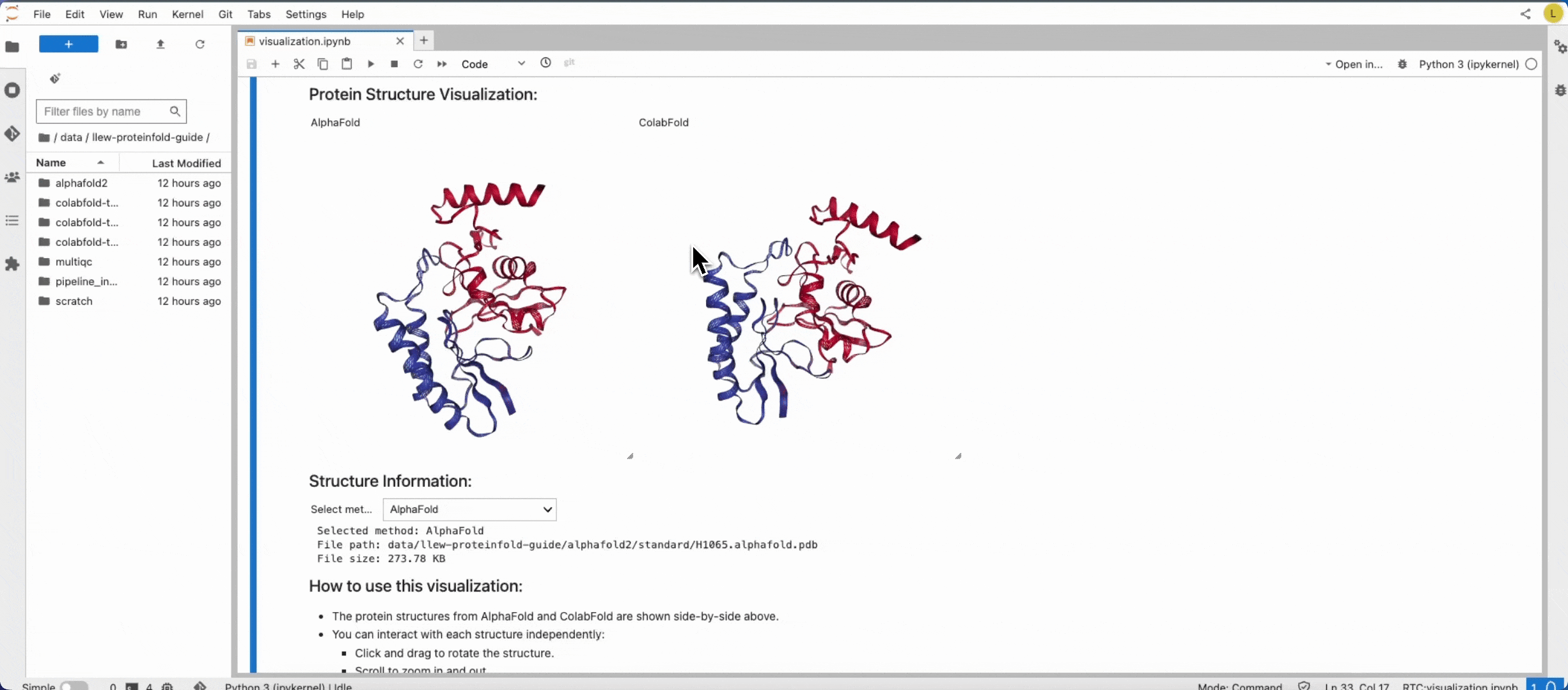 Protein structure visualization